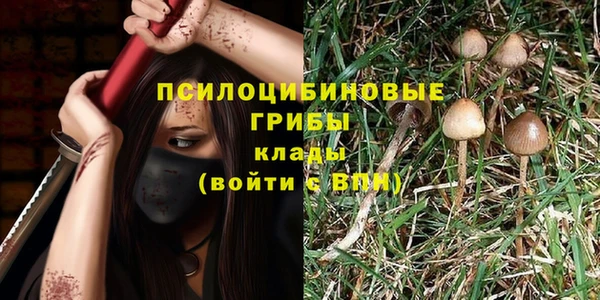 бутират Лагань