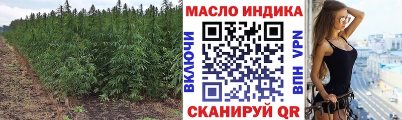 ТГК Wax  дарк нет Telegram  Медвежьегорск 